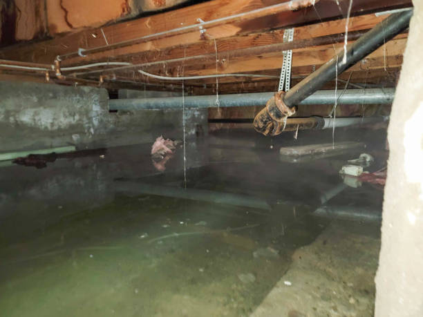 Best Residential water damage restoration  in Forest Lake, IL