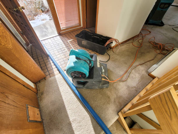 Best Local water damage restoration  in Forest Lake, IL